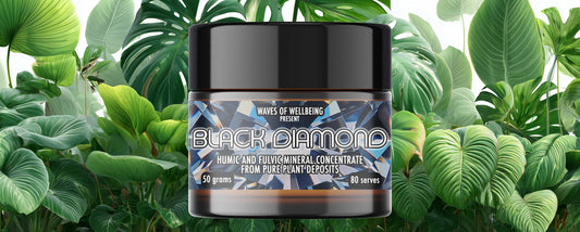 🌱 Gut Health 101: What Are Fulvic and Humic Acids — and Why They Matter